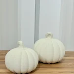 طقم يقطين